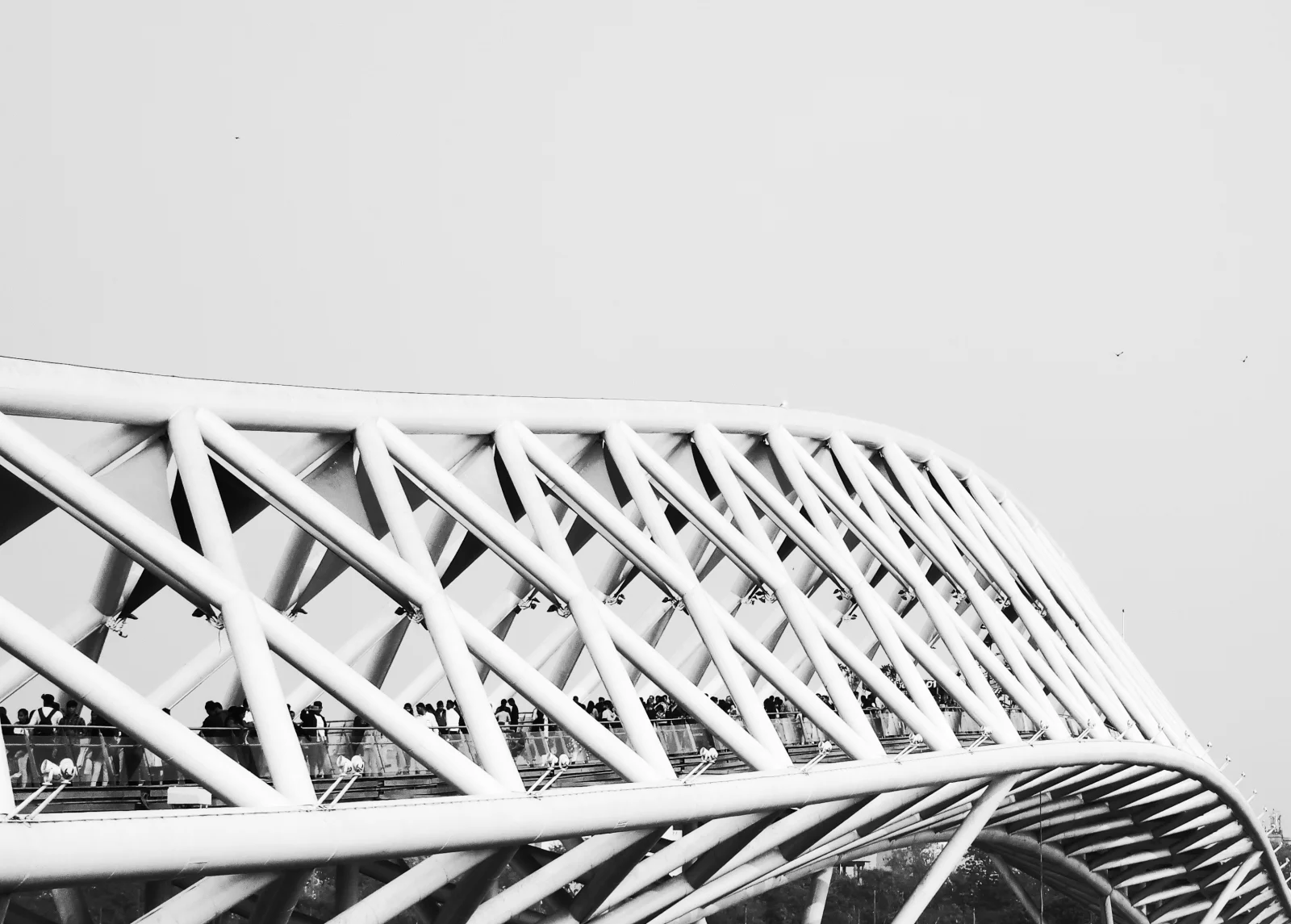 Structural lattice